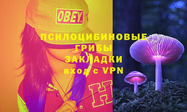 PSILOCYBIN Богданович